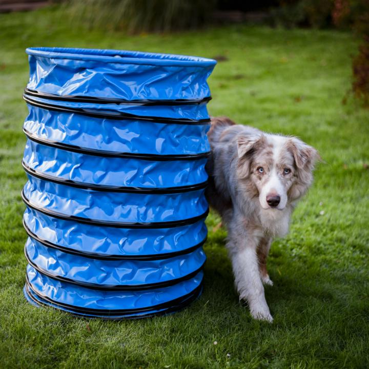 Petcenter Baril "Tonneau" Hooper Ø60cm (Jouet d'occupation chien)