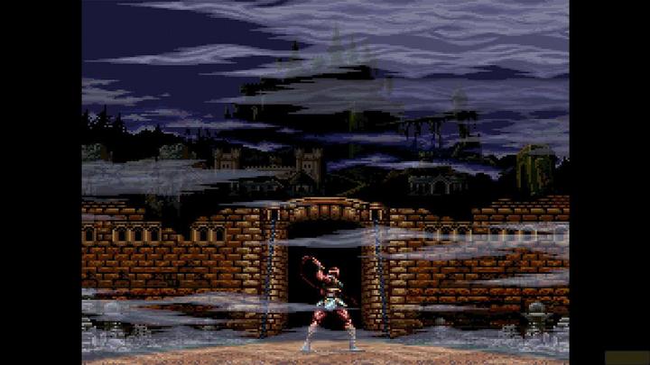 Actual product image Konami Castlevania - Anniversary Collection (PS4, EN)