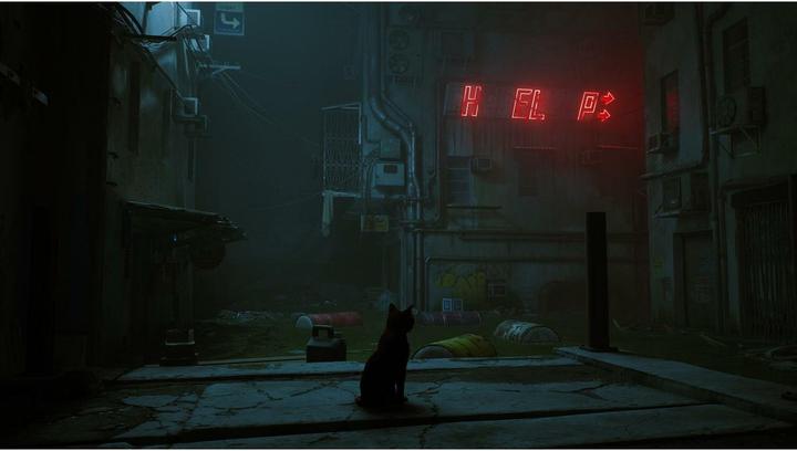Image du produit Skybound Stray (Switch, DE)