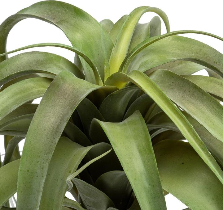 Immagine prodotto DPI Giardino (28 cm)