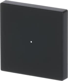 Actual product image Busch-Jaeger Rocker