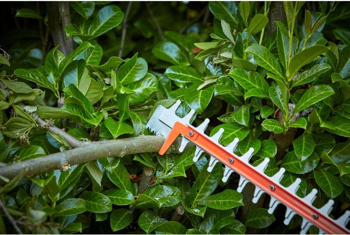 Produktbild Black & Decker BCHTS36B Solo (Akkuheckenschere)
