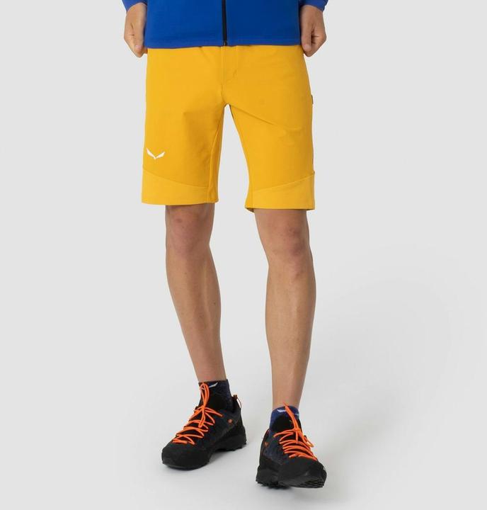 Produktbild Salewa Agner DST Shorts (54)