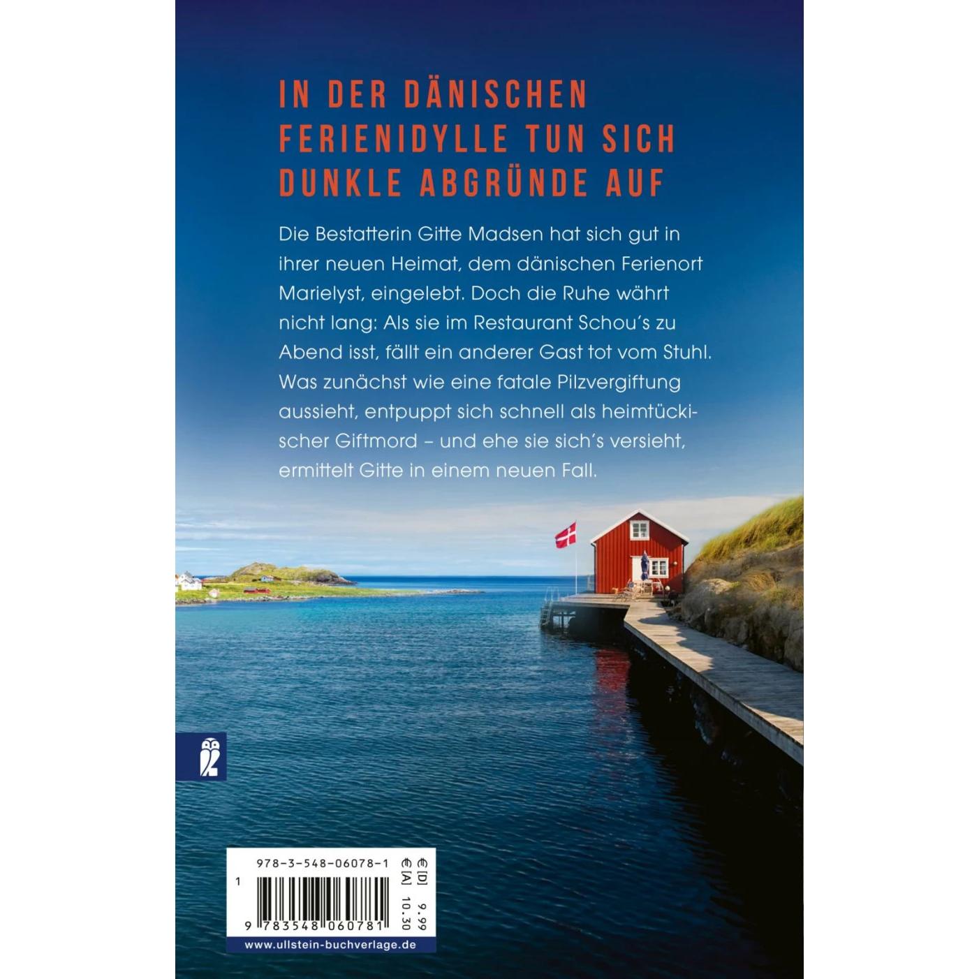 Thumbnail - Dänische Schuld, Belletristik von Frida Gronover