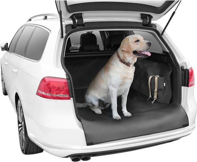 Sixtol Housse de transport pour un chien dans la valise DEXTER (Chien)