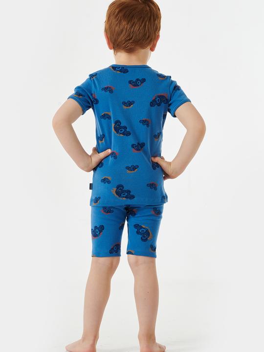 Produktbild Schiesser Pyjama Natural Love Organic Cotton (98)