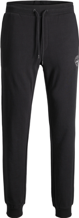 Actual product image Jack & Jones Gordon (L)