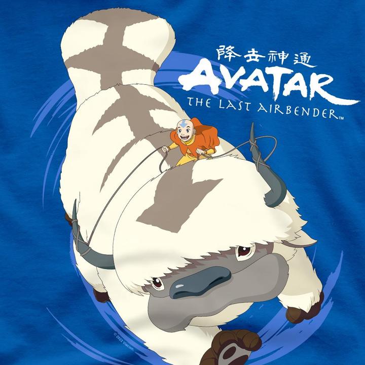 Image du produit Avatar: The Last Airbender - T-shirt IN FLIGHT - Homme (L)