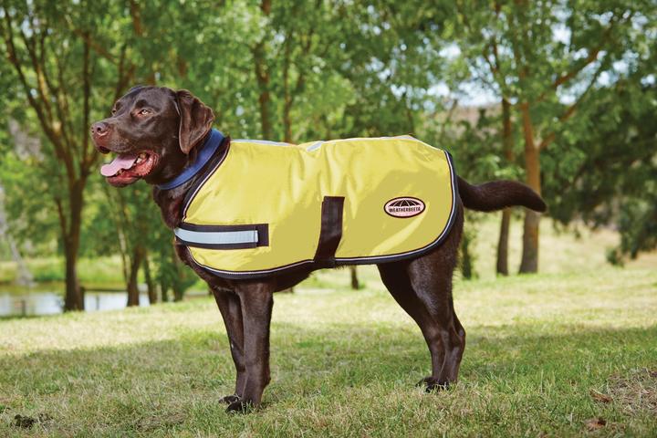 Produktbild Weatherbeeta Reflektierender Parka 300D Hundemantel (Hundemantel)