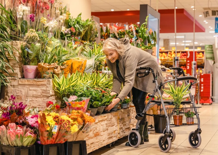 Actual product image Devilbiss Rollator Gigo 2G