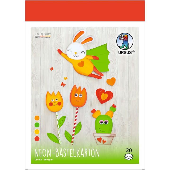 Produktbild Ursus Bastelkarton (250 g/m², 20x)