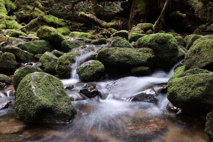 Actual product image Canon RF 14-35mm f/4L IS USM (Canon RF, full size)