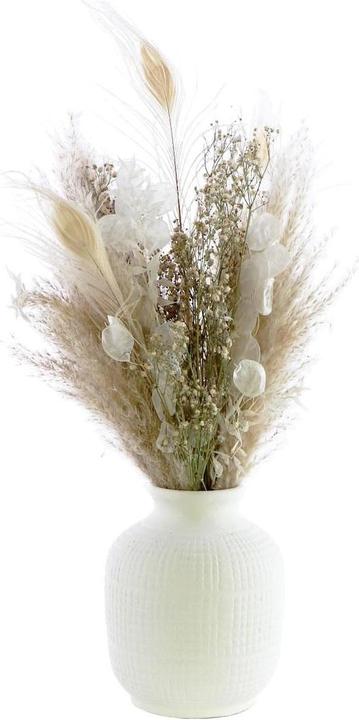 Produktbild Soli Collection Trockenblumen Gyps (Trockenblumen)