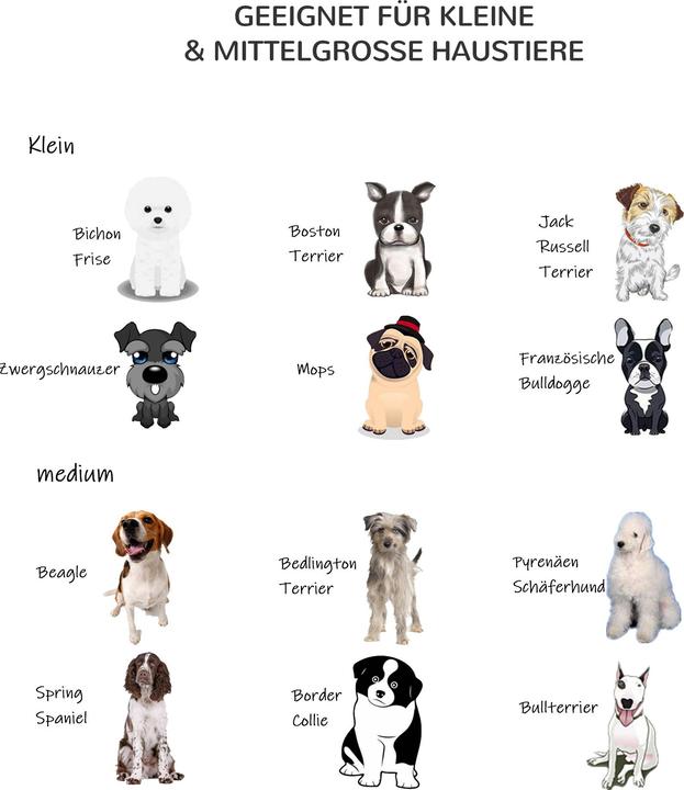 Actual product image Jamb Puppy run