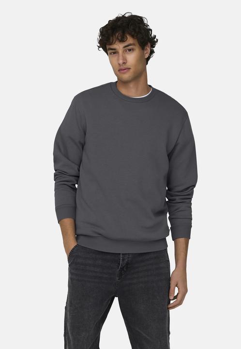 Produktbild Only & Sons Onsceres Crew Neck Noos (XXL)