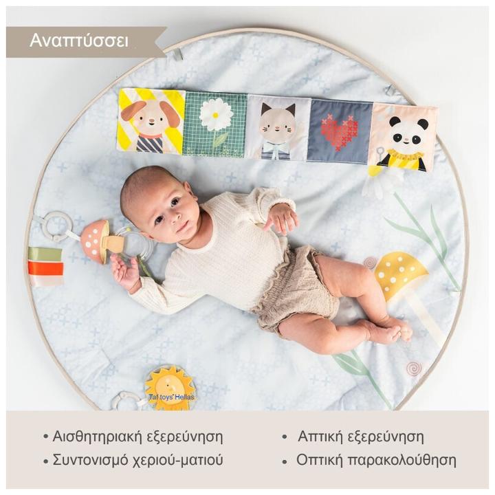 Image du produit Taf Toys Melody Bloom