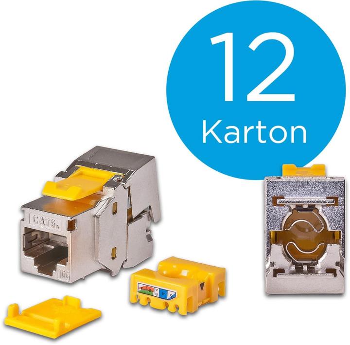 Produktbild Wirewin Keystone-Modul Cat.6A STP EA 12 Stück (Keystone Modul)