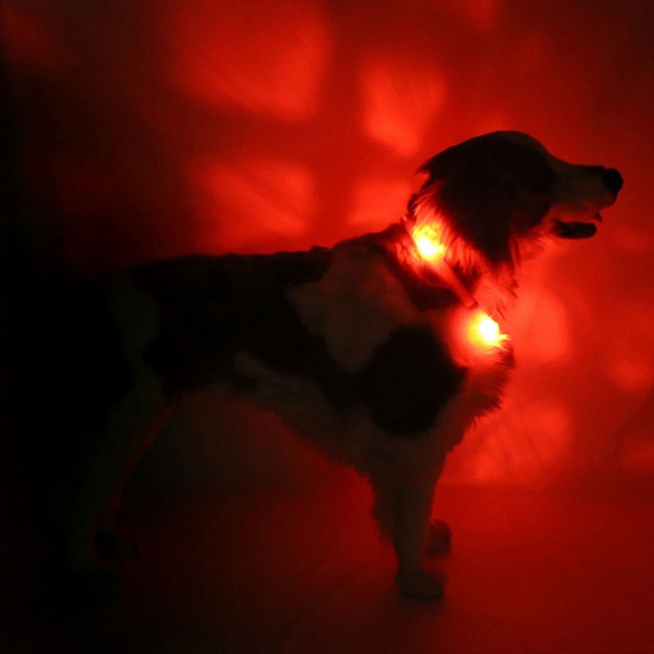 Produktbild Leuchtie Plus (45, Hund, Arbeit, Spazieren)