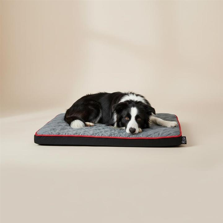 Image du produit GCS RECTANGULAR CUSHION L HÖPPY 100X70X8CM (Chat, Chien)