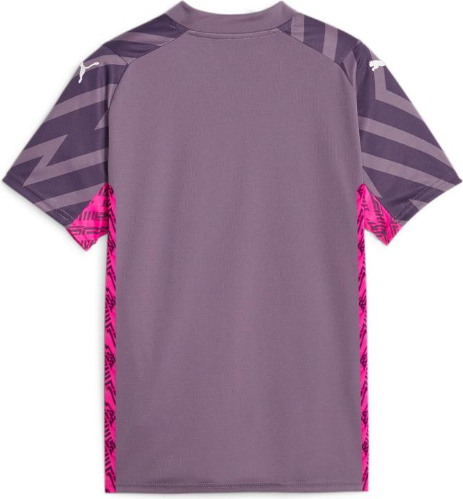 Image du produit Puma BMG GK Jersey Replica SS Jr avec sponsor (152)
