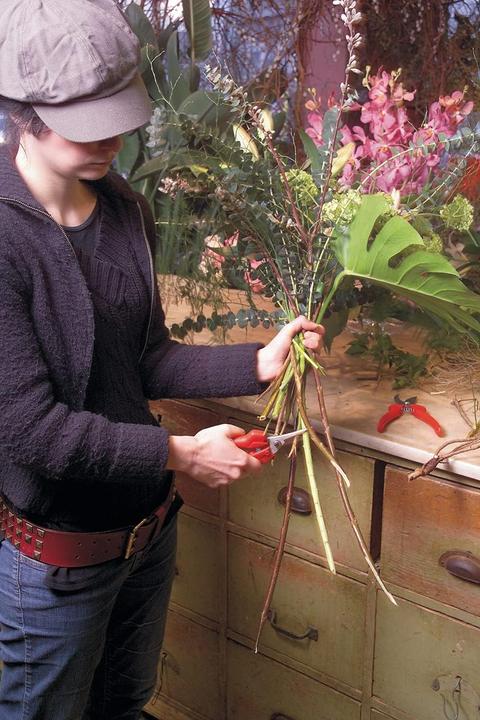 Actual product image Felco Reading scissors no. 310