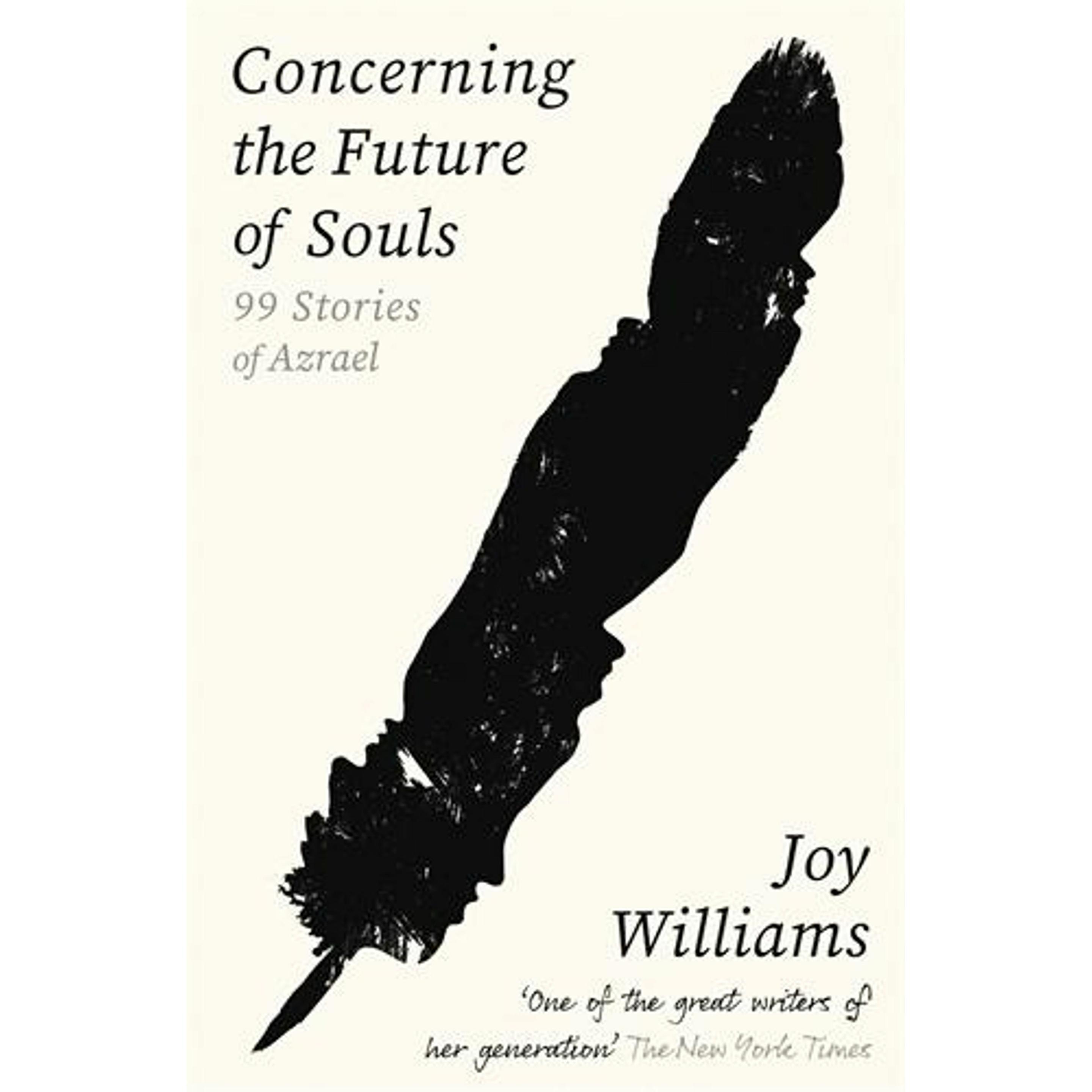 Concerning the Future of Souls, Belletristik von Joy Williams