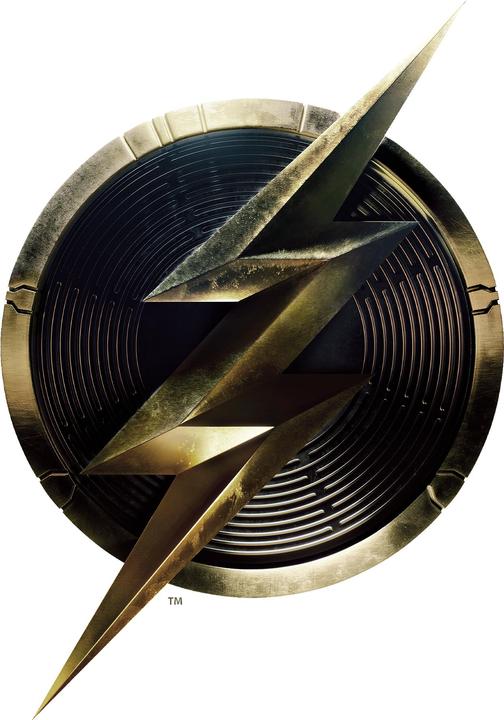 Immagine prodotto The Flash Felpa Logo Adulto Unisex (M)