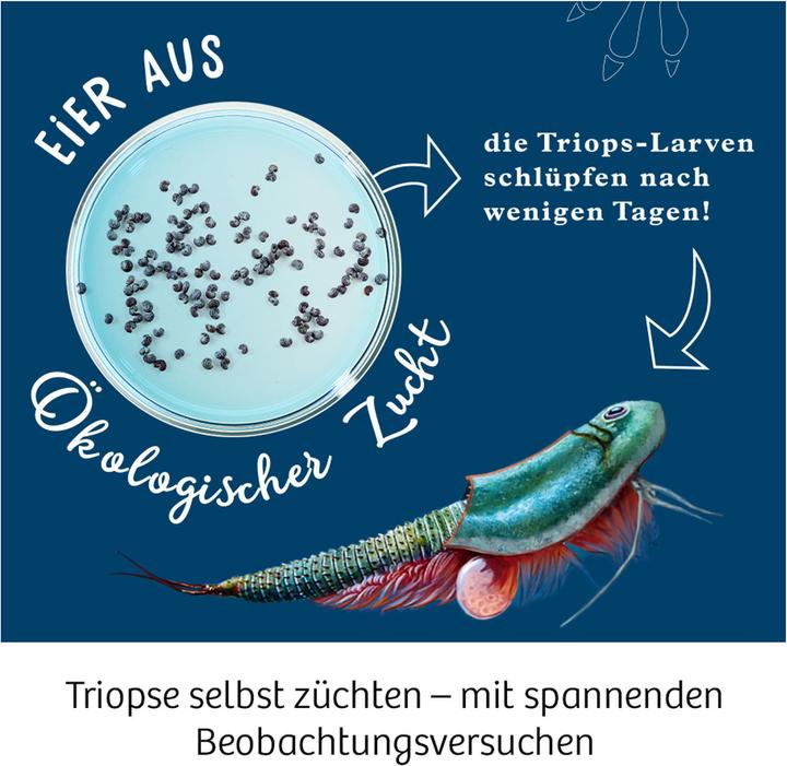 Produktbild Kosmos Welt der Triops
