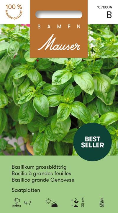 Image du produit Samen Mauser Assiette de graines à grandes feuilles de basilic (Graines d'herbes aromatiques)