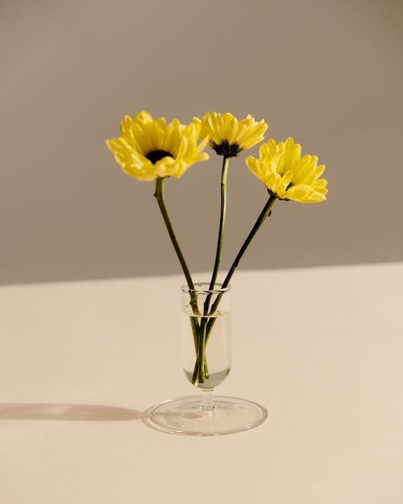 Produktbild HAY Tiny Vase - Clear (1 x)