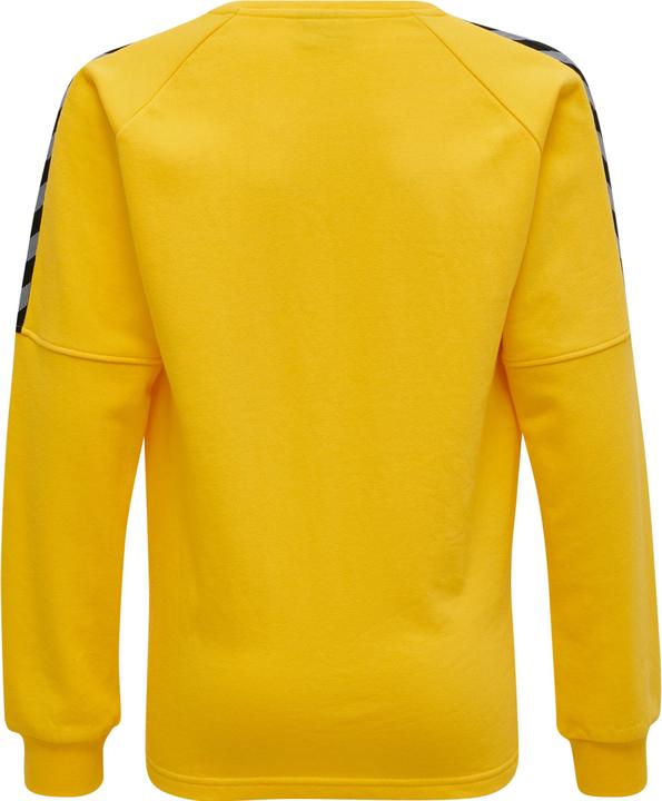 Image du produit hummel Authentique Sweat D'Entraînement Pour Enfants (176)