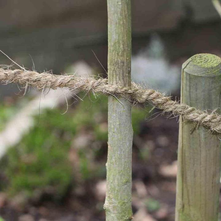 Produktbild Siena Garden Kokosgarn lose 25m dünn (2500 cm, 0.40 cm)