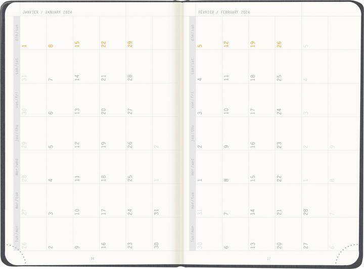 Actual product image Rhodia Webplanner (10 x 15 cm, French, English)