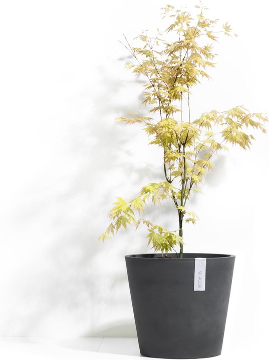 Actual product image Ecopots Amsterdam Wheels (80 cm)