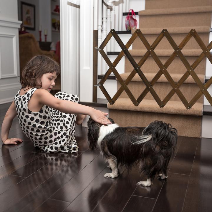 Immagine prodotto Relaxdays Barriera per cani