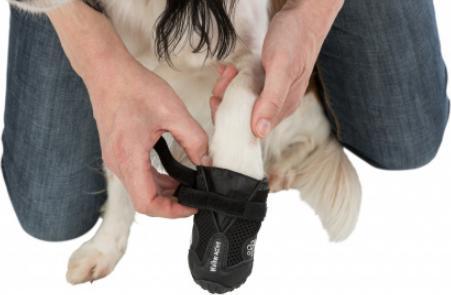Immagine prodotto Trixie Deambulatore Paw Protector Active Gr.L (L, Scarpe per cani)
