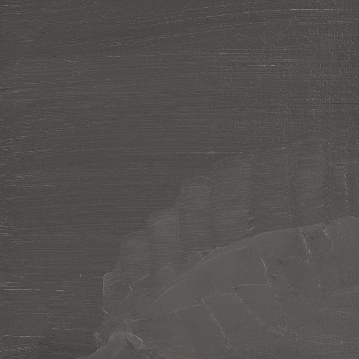 Image du produit BlockX - Terre Grise (200 ml)