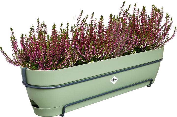 Produktbild Elho Vibia Campana Balkonkasten Allin1 (70 cm)