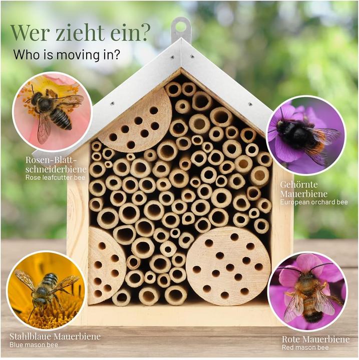 Immagine prodotto Wildlife home Hotel delle api (Ape, Api)