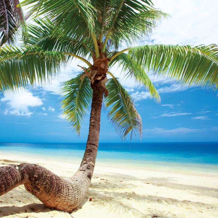 Produktbild Trauminseln/Dream Islands 2026