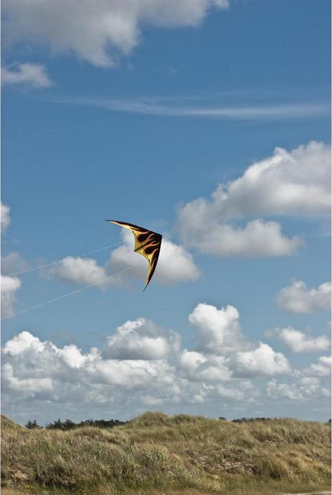 Actual product image Invento Dragon Bebop Fire