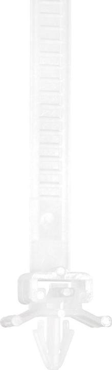 Produktbild Tru Components Kabelbinder 150 mm Natur mit S (Kunststoffkabelbinder, 150 mm, 100 Stk.)
