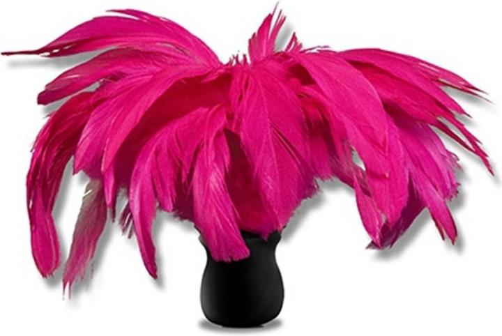 Produktbild Shunga Touch Of Romance