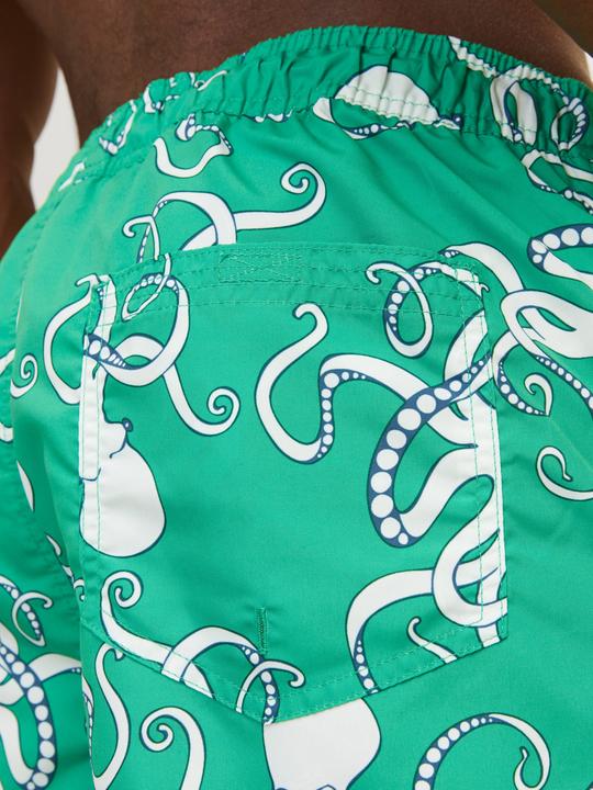 Image du produit Jack & Jones Regular Fit Regular Fit Maillots de bain Regular Fit Maillots de bain (XS)