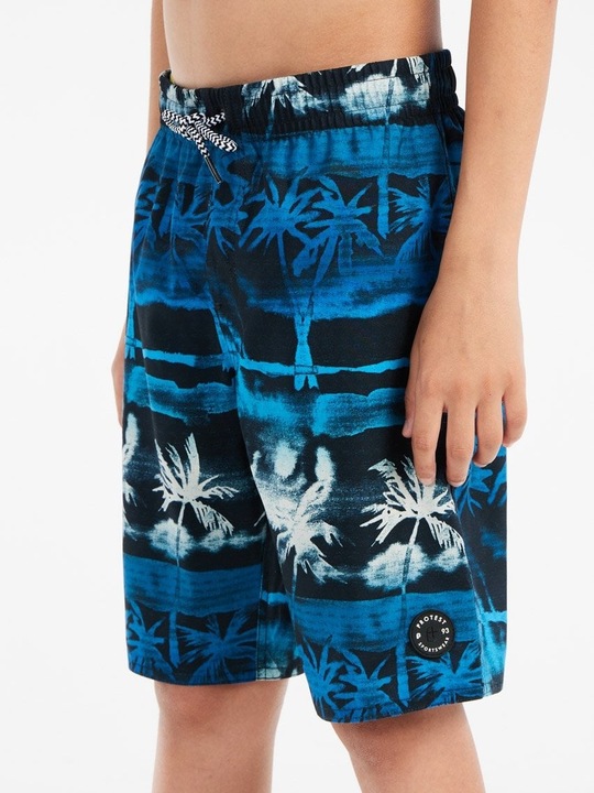 Image du produit Protest Swim shorts PRTStones JR beachshort (152)