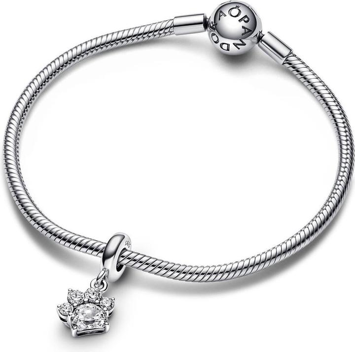 Image du produit Pandora Patte avec pierre (Argent sterling 925)