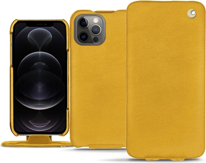 Jaune soulèu ( Pantone #F3B934 )