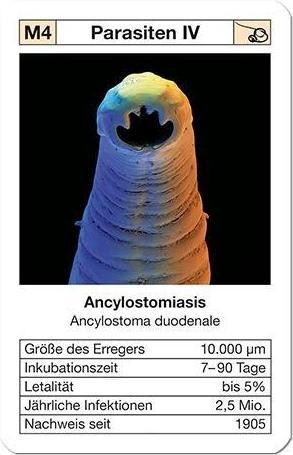 Produktbild Quartett Seuchen II (Deutsch)