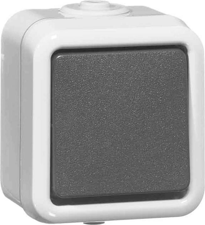 Actual product image Peha rocker switch