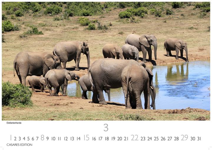 Produktbild Sdafrika 2026 S 24x35 cm (Spezial)